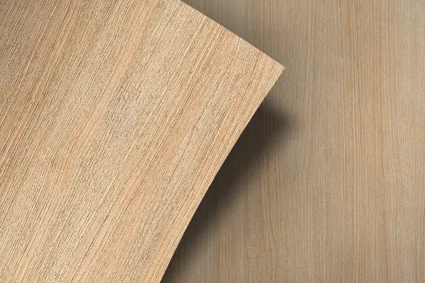Canis W504 hout