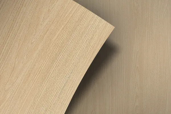 Resum W879 hout